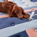 reserve duet tight top mattress