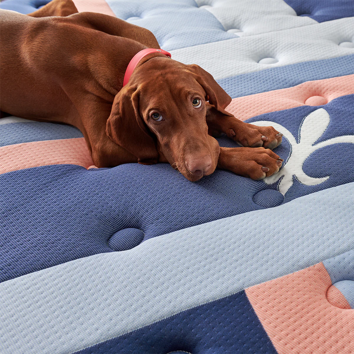 reserve duet tight top mattress