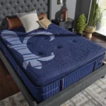 reserve euro pillow top mattress