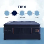 reserve euro pillow top mattress