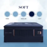 reserve euro pillow top mattress