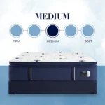 studio medium euro pillow top mattress